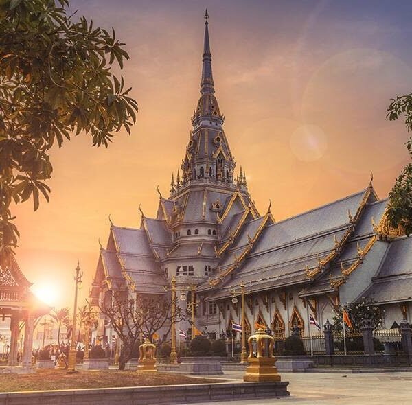 1-Day Birding Safari – Nyabarongo Wetland